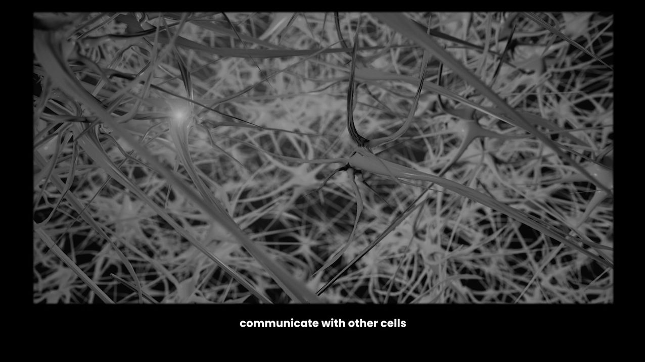 Video Edit Trailer